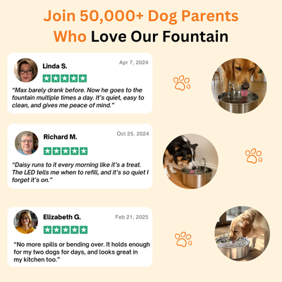 The Doggy Fountain ™