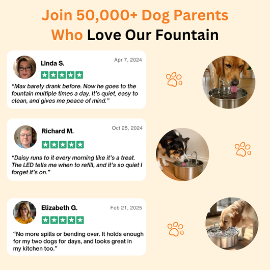 The Doggy Fountain ™