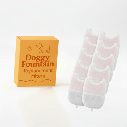 10 Filter Pack - 8 Months