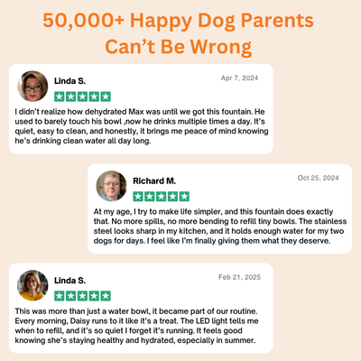 Doggy Water Fountain™