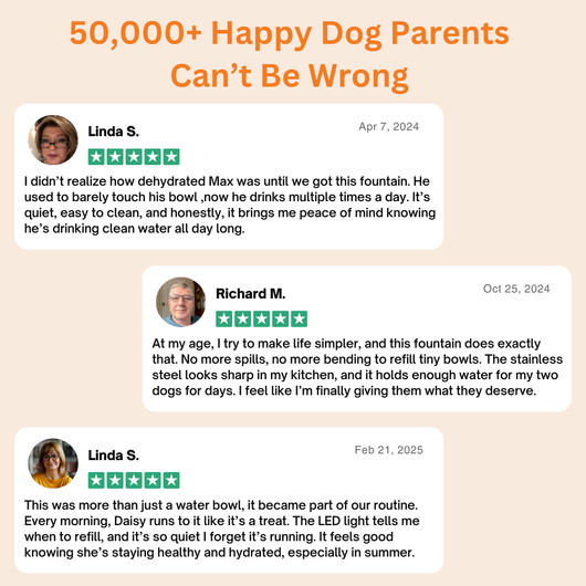 Doggy Water Fountain™