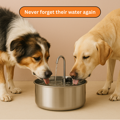 Doggy Water Fountain™