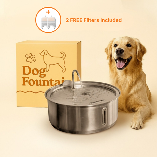 The Doggy Fountain™