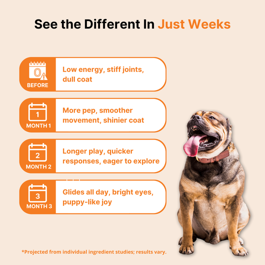 NAD+ Anti-Aging Precursor Powder