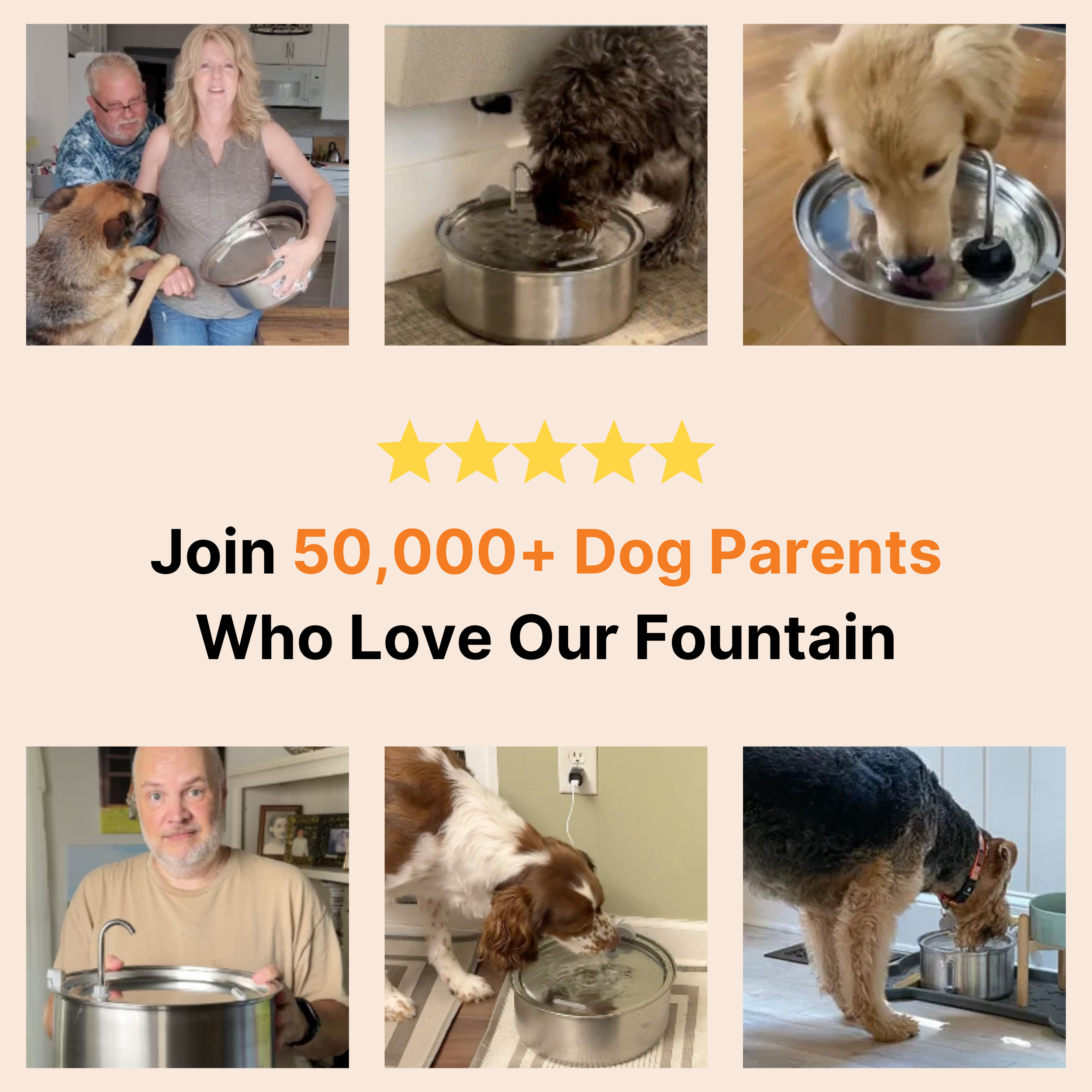 The Dog Fountain
