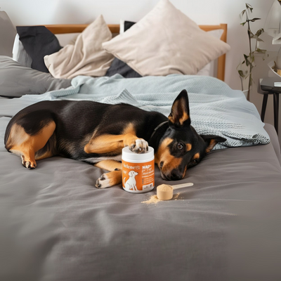 NAD+ Anti-Aging Precursor Powder