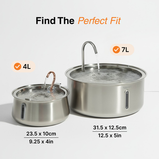 The Doggy Fountain ™