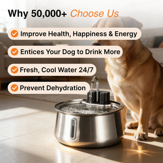 Wireless Doggy Fountain™
