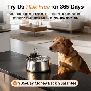 Wireless Doggy Fountain™